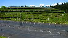  View of the Weyerhaeuser headquarters showing a parking lot in the foreground and the cascadign plants over its facade.