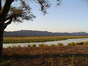 A view of a vegetated plain, with a river flowing in the foreground alongside it.